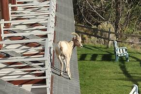Absaroka Lodge