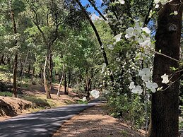 Meadowood Napa Valley