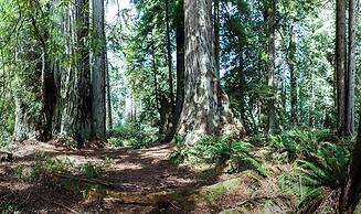 Holiday Inn Express Klamath - Redwood Ntl Pk Area by IHG