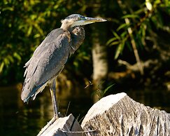 Holiday Inn Express Klamath - Redwood Ntl Pk Area by IHG