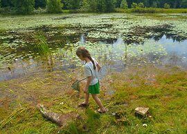 Lake George Escape - Campground