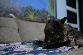 Hostal Del Este Santa Fe