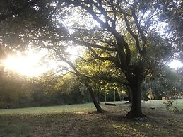 Residence Altair-Serra Alimini 3