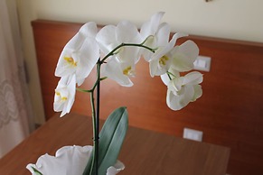 Le Terrazze del Vaticano