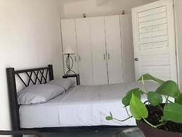 Caribo Cozumel
