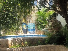 Caribo Cozumel