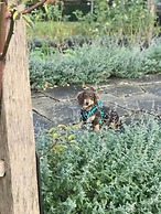 Great Fosters - A Small Luxury Hotel