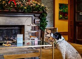 Great Fosters - A Small Luxury Hotel