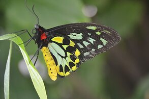 Cottages by the Ocean