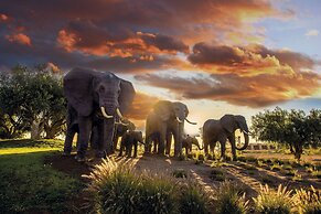 Le Vizir Center Parc & Resort