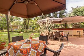 Granpa's Inn Hotel Bougainvillea