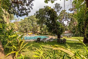 Granpa's Inn Hotel Bougainvillea