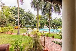 Granpa's Inn Hotel Bougainvillea