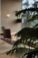 Hotel Saltus