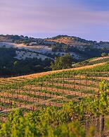 Allegretto Vineyard Resort Paso Robles
