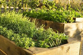 Allegretto Vineyard Resort Paso Robles