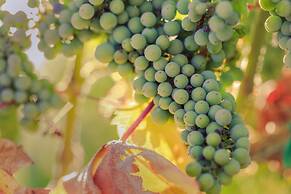 Allegretto Vineyard Resort Paso Robles