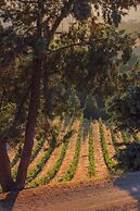 Allegretto Vineyard Resort Paso Robles