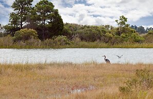 Sun Retreats New Point