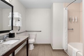 Hampton Inn Atlanta McDonough