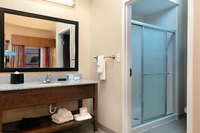 Hampton Inn Atlanta McDonough