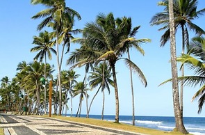 Mais Hotel Aeroporto Salvador
