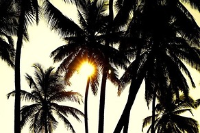 Mais Hotel Aeroporto Salvador