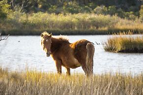 Hilton Garden Inn Ocean City Oceanfront