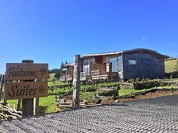 OCIO Territorial Hotel