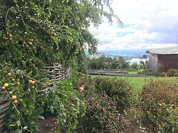 OCIO Territorial Hotel