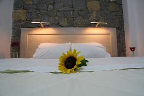 Chios Xenia Studio & Apartments