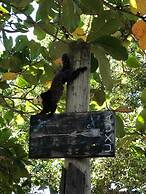 UXUA Casa Hotel & Spa