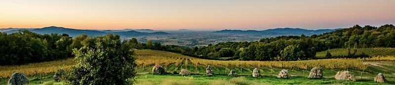 Valdonica Winery & Vineyard Residence