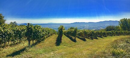 Valdonica Winery & Vineyard Residence