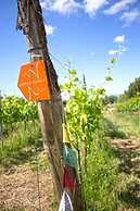 Valdonica Winery & Vineyard Residence