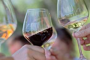 Valdonica Winery & Vineyard Residence