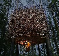 Tree Hotel
