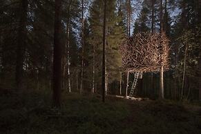 Tree Hotel