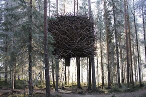 Tree Hotel