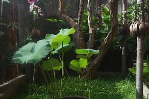 Golden Butterfly Villa