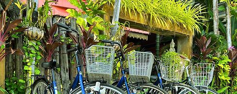 Golden Butterfly Villa