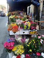 Max House Bed & Breakfast