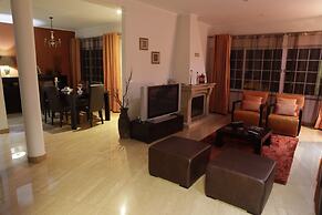 Pico Dreams - Sportfish