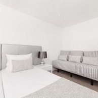 Pico Dreams - Sportfish