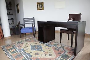 Pico Dreams - Sportfish