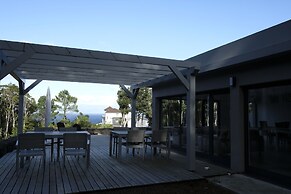 Pico Dreams - Sportfish