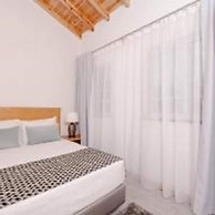 Pico Dreams - Sportfish