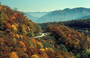 Chetola Resort