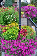 The Lodge at Chetola Resort