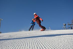 The Lodge at Chetola Resort